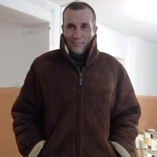 Стёпа