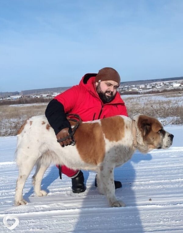 Вова