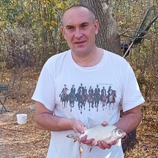Давид