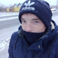 Лев