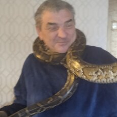 Паша