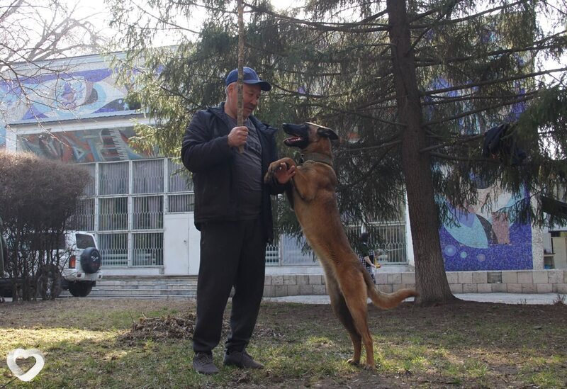 Владислав