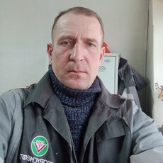 Давид