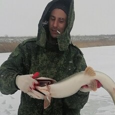 Вова