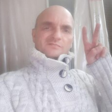 Стёпа