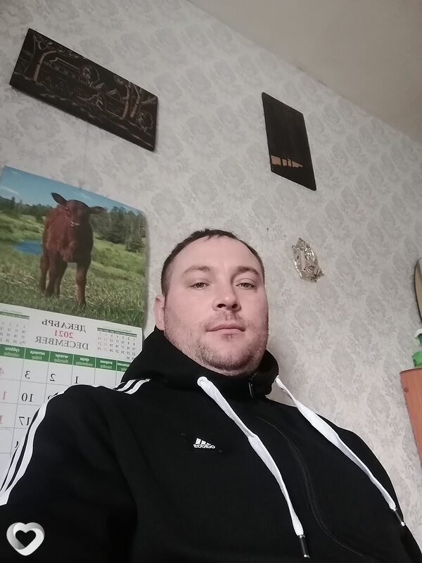 Давид