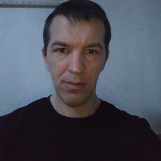 Всеволод