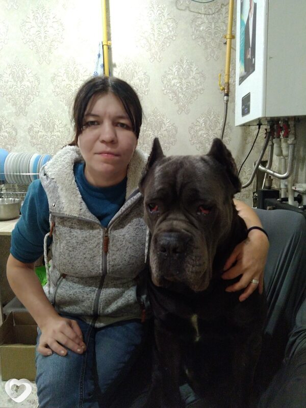 Алиса
