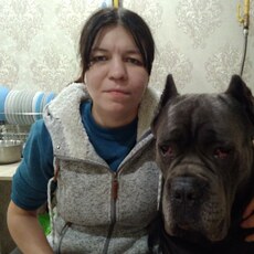 Алиса