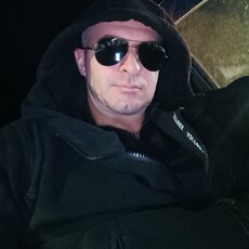 Всеволод