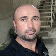 Всеволод