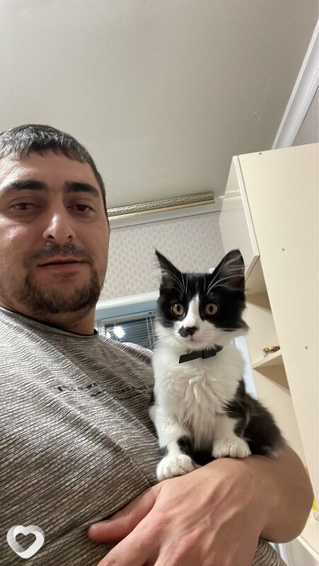 Тим