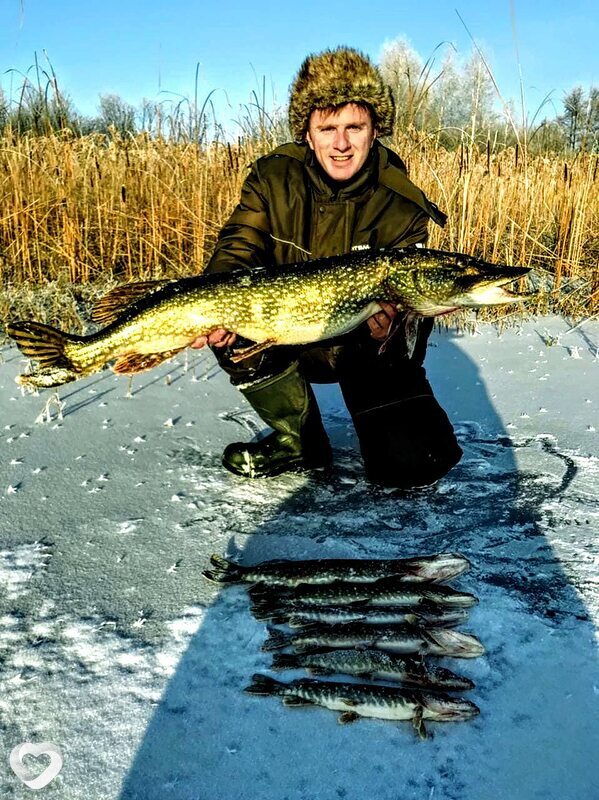 Лев