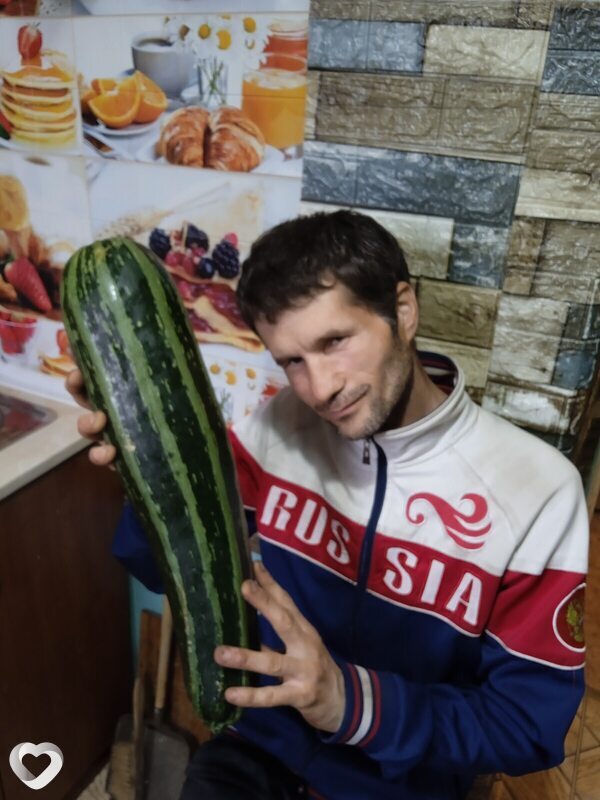 Платоша