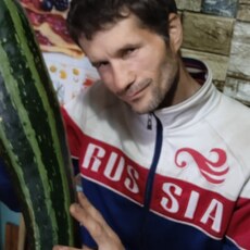 Платоша