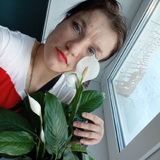 Васса