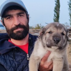 Альбик