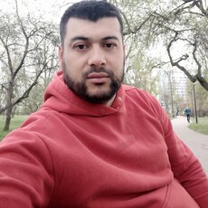 Давид