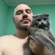 Всеволод