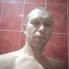 Давид