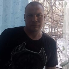 Ян