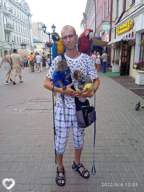 Демид