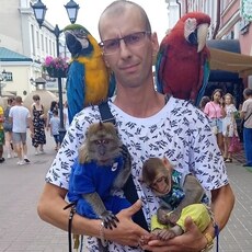 Демид