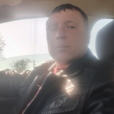 Давидик
