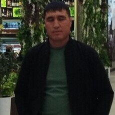 Платоша