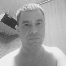 Альбик