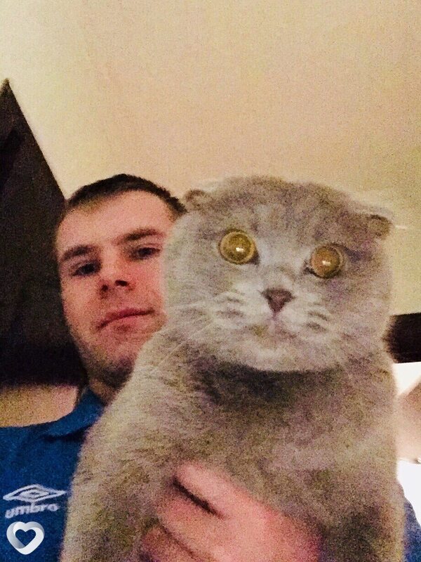 Платоша