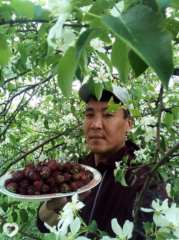 Елисей