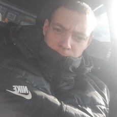 Давид