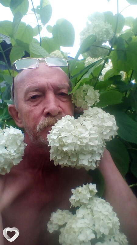 Лаврик