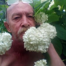Лаврик