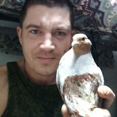 Лаврик