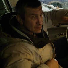 Лев