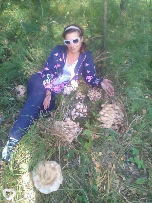 Света