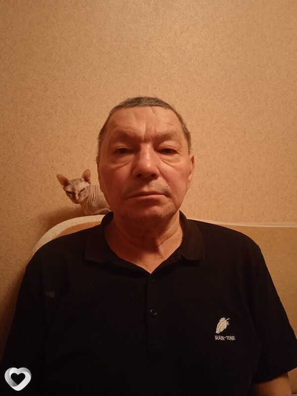 Давид