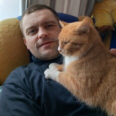 Стёпа