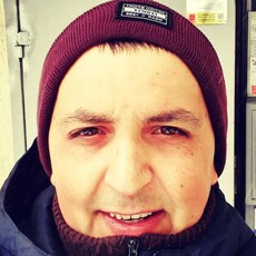 Давид