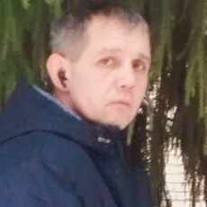 Всеволод