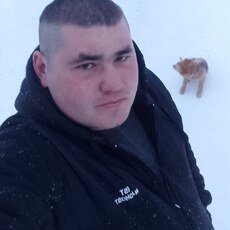 Лев