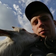 Демид