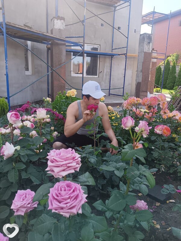 Роман