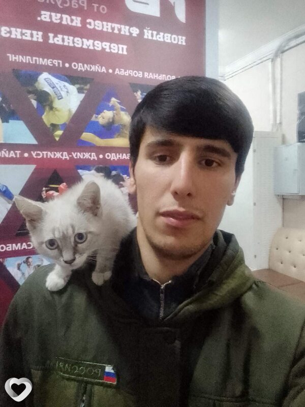 Давид