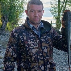 Давид