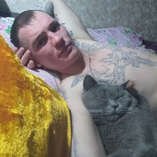 Гена