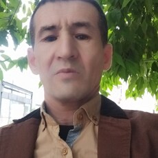 Альбик