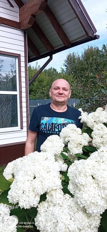 Тим